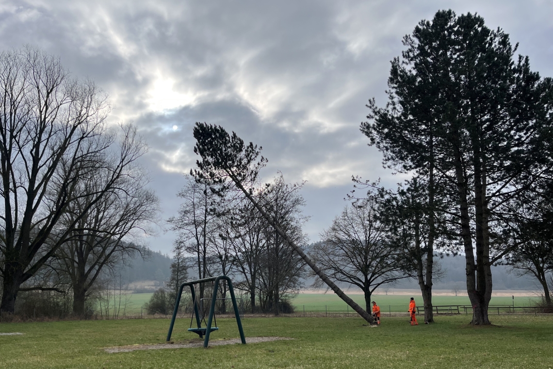 Arbeiten für Landkreislehrgarten haben begonnen 