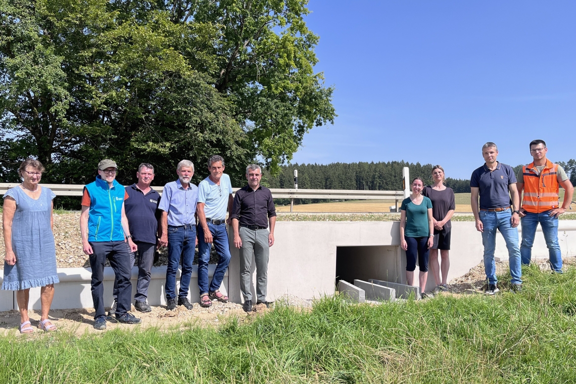 Fertigstellung der Krötendurchlässe entlang der Kreisstraße zwischen Schelldorf und Wettstetten 