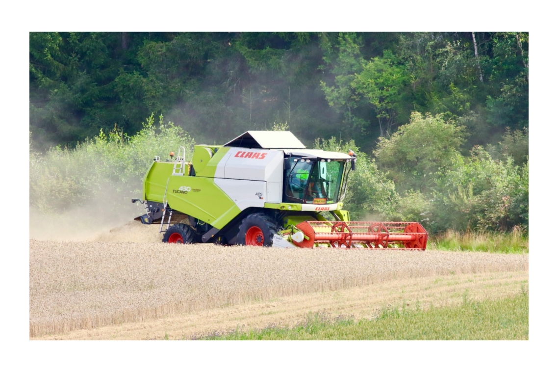 Bauernverband legt ernüchternde Erntebilanz vor 