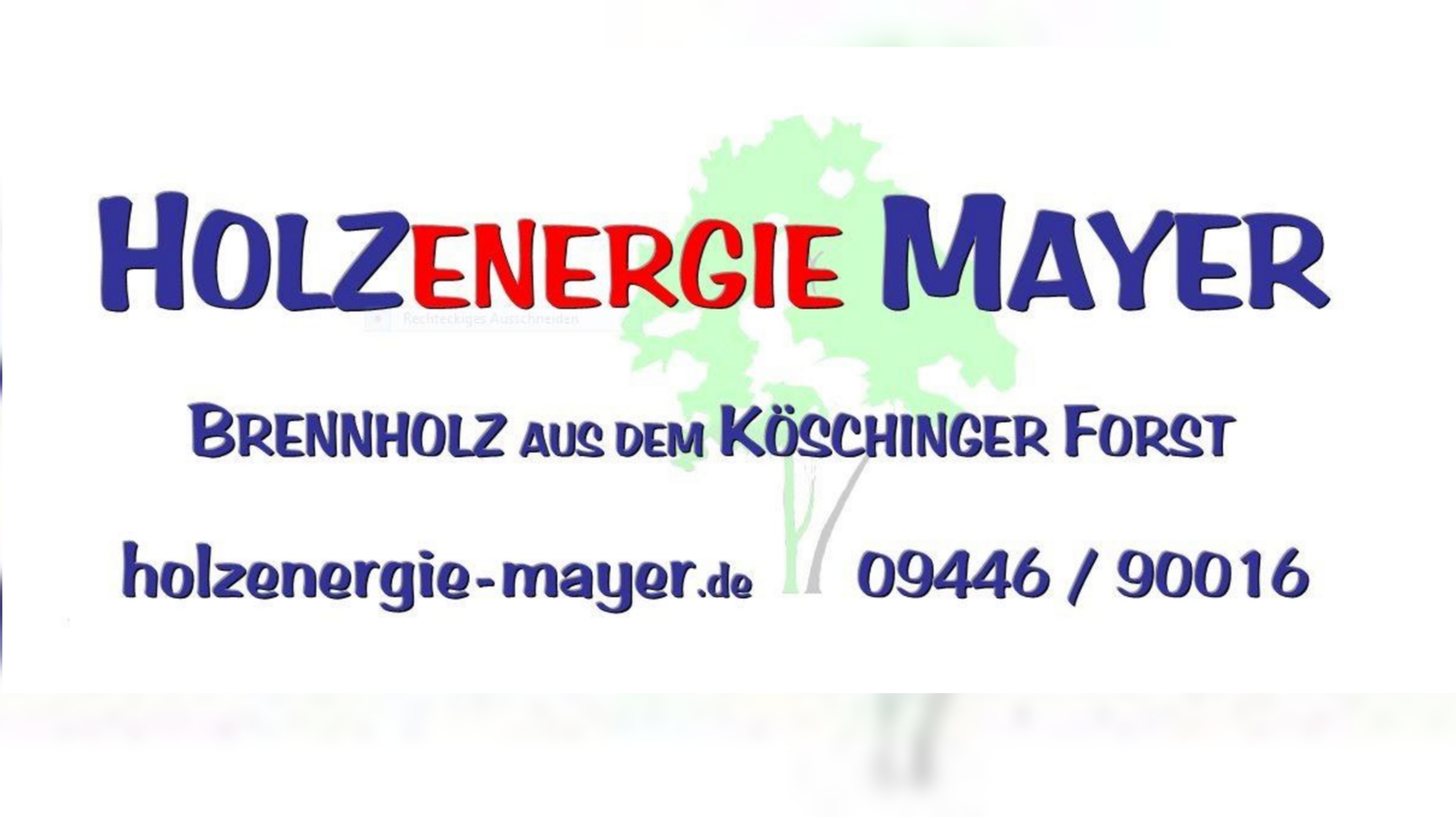 Holzenergie Mayer GBR 
